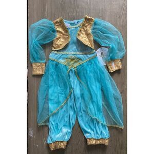 Gillians Closet Genie costume Size 2